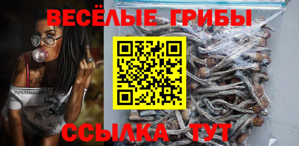 Псилоцибиновые грибы Cubensis Дубна